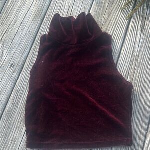 Foreign Exchange Burgundy Velvet Crop Top